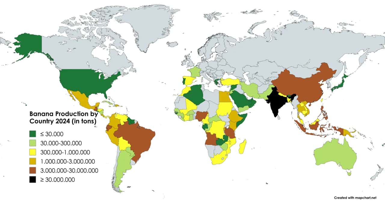 Gdzie rosną banany? Odkryj kraje i zaskakujące fakty!
